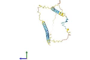 Protein Structure (PS) image for Estrogen Receptor Binding Site Associated, Antigen, 9 (EBAG9) (AA 1-213) protein (His tag) (ABIN7551316)
