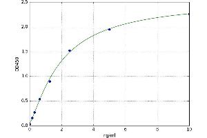 ADAM Metallopeptidase Domain 12 (ADAM12) ELISA Kit