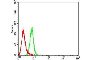 Flow cytometric analysis of Hela cells using BTLA mouse mAb (green) and negative control (red). (BTLA antibody  (AA 31-157))