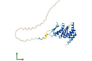 AlphaFold protein structure predicition of Human Recombinant PNO1 Protein, UniprotID Q9NRX1 (PNO1 Protein (AA 1-252) (His tag))