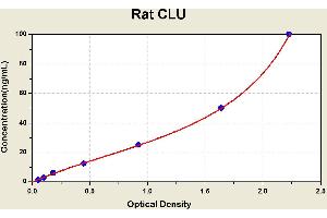 Diagramm of the ELISA kit to detect Rat CLUwith the optical density on the x-axis and the concentration on the y-axis.