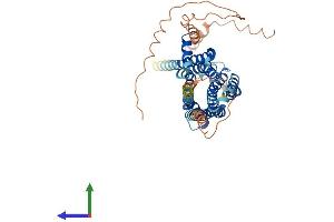 Protein Structure (PS) image for Serotonin Receptor 2B (HTR2B) (AA 1-481) protein (His tag) (ABIN7551814)