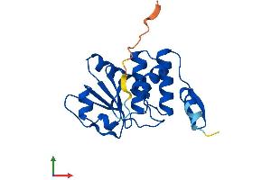 AlphaFold protein structure predicition of Human Recombinant DUSP18 Protein, UniprotID Q8NEJ0