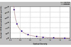 Typical Standard Curve (CKM ELISA Kit)