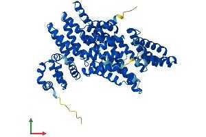 AlphaFold protein structure predicition of Human Recombinant APPBP2 Protein, UniprotID Q92624