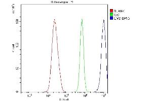 Flow Cytometry analysis of U20S cells using anti-Emerin antibody (ABIN4886569). (Emerin antibody  (N-Term))