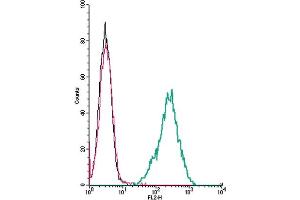 Cell surface detection of P2X4 Receptor by direct flow cytometry in live intact mouse  microglia cells: + Rabbit IgG isotype control-PE.