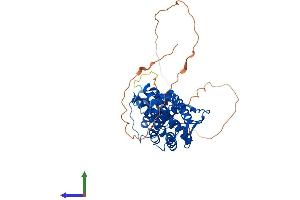 Protein Structure (PS) image for Estrogen-Related Receptor gamma (ESRRG) (AA 1-458) protein (His tag) (ABIN7547396)