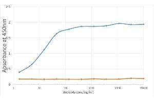ELISA of anti-CD96 antibody on CD96-Fc fusion protein. (Recombinant CD96 antibody)