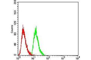 Flow Cytometry (FACS) image for anti-RAN, Member RAS Oncogene Family (RAN) (AA 1-216) antibody (ABIN5876159) (RAN antibody  (AA 1-216))