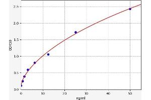 Collagen, Type XVIII, alpha 1 (COL18A1) ELISA Kit