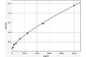 Typical standard curve (Stanniocalcin 1 ELISA Kit)