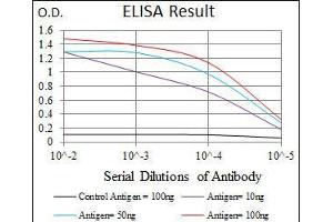 Black line: Control Antigen (100 ng), Purple line: Antigen(10 ng), Blue line: Antigen (50 ng), Red line: Antigen (100 ng), (CD166 antibody  (AA 405-524))