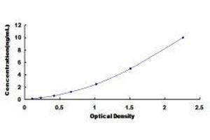 Sphingosine-1-Phosphate Phosphatase 1 (SGPP1) ELISA Kit