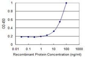 Detection limit for recombinant GST tagged MMRN1 is 1 ng/ml as a capture antibody. (Multimerin 1 antibody  (AA 291-390))