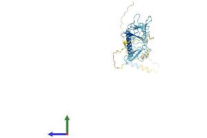 Protein Structure (PS) image for Sarcoglycan, beta (43kDa Dystrophin-Associated Glycoprotein) (SGCB) (AA 1-320) protein (His tag) (ABIN7556751)