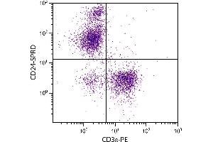 BALB/c mouse splenocytes were stained with Rat Anti-Mouse CD24-SPRD. (CD24 antibody  (SPRD))