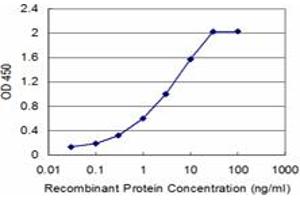Detection limit for recombinant GST tagged CBS is approximately 0. (CBS antibody  (AA 1-100))