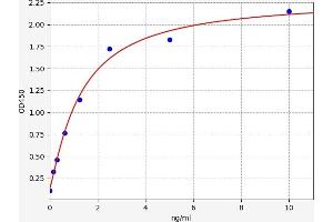 PAFAH1B1 ELISA Kit