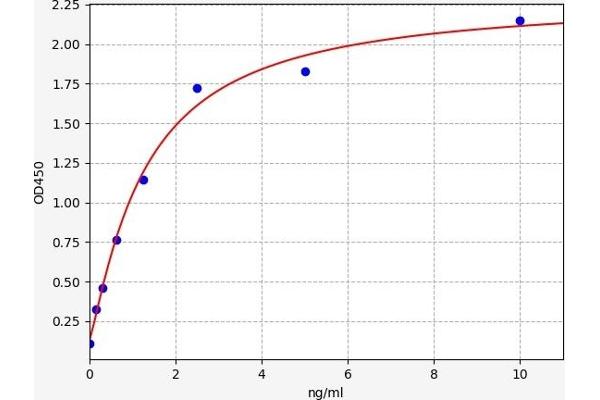 PAFAH1B1 ELISA Kit