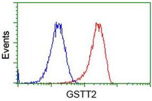 Flow cytometric Analysis of Hela cells, using anti-GSTT2 antibody (ABIN2453094), (Red), compared to a nonspecific negative control antibody (TA50011), (Blue).