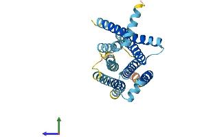 AlphaFold protein structure predicition of Human Recombinant TAS2R1 Protein, UniprotID Q9NYW7