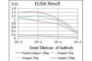 Black line: Control Antigen (100 ng), Purple line: Antigen(10 ng), Blue line: Antigen (50 ng), Red line: Antigen (100 ng), (RAG1 antibody  (AA 818-868))