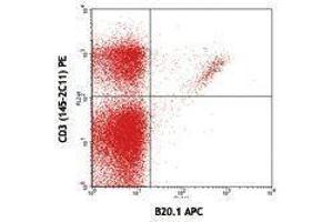 Flow Cytometry (FACS) image for anti-V alpha 2 TCR antibody (APC) (ABIN2658831) (V alpha 2 TCR antibody (APC))