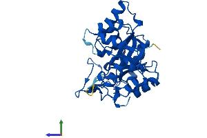 AlphaFold protein structure predicition of Mouse Recombinant Akr1e2 Protein, UniprotID Q9DCT1