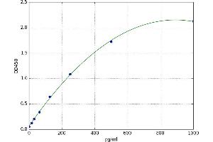 NADPH Oxidase 1 (NOX1) ELISA Kit