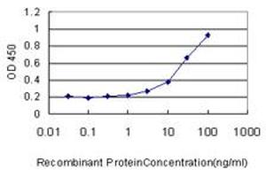 Detection limit for recombinant GST tagged GBA is approximately 1ng/ml as a capture antibody. (GBA antibody  (AA 146-235))