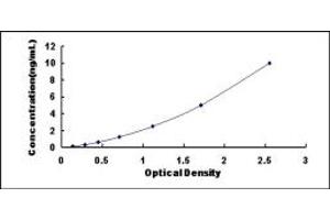 Typical standard curve (ARHGDIA ELISA Kit)