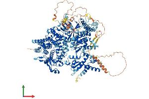 Protein Structure (PS) image for phosphorylase Kinase, alpha 1 (Muscle) (PHKA1) (AA 1-1223) protein (His tag) (ABIN7554370)
