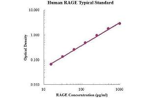 ELISA image for Advanced Glycosylation End Product-Specific Receptor (AGER) ELISA Kit (ABIN3198608)