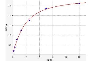 Typical standard curve (Kallikrein 5 ELISA Kit)