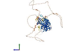 AlphaFold protein structure predicition of Mouse Recombinant Mak Protein, UniprotID Q04859