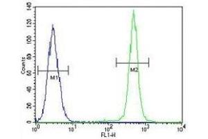 IGF1 antibody flow cytometric analysis of A549 cells (green) compared to a negative control cell (blue). (IGF1 antibody  (AA 115-144))