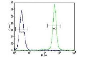 IGF1 antibody flow cytometric analysis of A549 cells (green) compared to a negative control cell (blue). (IGF1 antibody  (AA 115-144))