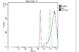 Flow Cytometry analysis of K562 cells using anti-SLC4A1 antibody (ABIN3043930). (Band 3/AE1 antibody  (AA 28-365))