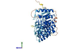 AlphaFold protein structure predicition of Human Recombinant PRAMEF19 Protein, UniprotID Q5SWL8 (PRAMEF19 Protein (AA 1-479) (His tag))