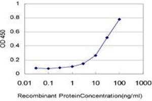 Detection limit for recombinant GST tagged TOPORS is approximately 1ng/ml as a capture antibody. (TOPORS antibody  (AA 98-205))