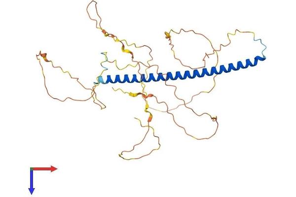 c-FOS Protein (AA 1-380) (His tag)