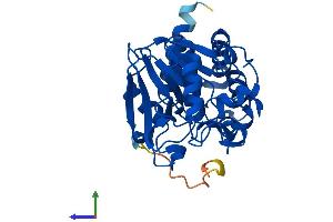 AlphaFold protein structure predicition of Human Recombinant PPP2CA Protein, UniprotID P67775
