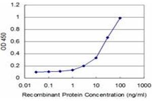 Detection limit for recombinant GST tagged NEU2 is approximately 3ng/ml as a capture antibody. (NEU2 antibody  (AA 180-268))