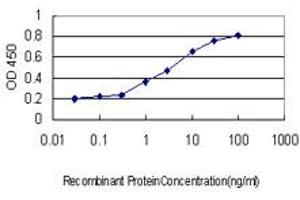 Detection limit for recombinant GST tagged PIK3C2B is approximately 1ng/ml as a capture antibody. (PIK3C2B antibody  (AA 1-110))