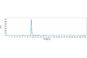The purity of Anti-RTN4 / NOGO Reference Antibody (ozanezumab) is 96. (Recombinant RTN4 (Ozanezumab Biosimilar) antibody)