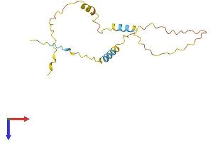AlphaFold protein structure predicition of Human Recombinant C20orf144 Protein, UniprotID Q9BQM9