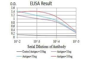 Black line: Control Antigen (100 ng),Purple line: Antigen (10 ng), Blue line: Antigen (50 ng), Red line:Antigen (100 ng) (CHRNB2 antibody  (AA 26-233))