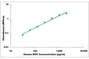 Representative Standard Curve (NOV ELISA Kit)