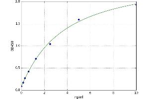 A typical standard curve